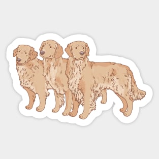 Golden Retriever Trio Sticker